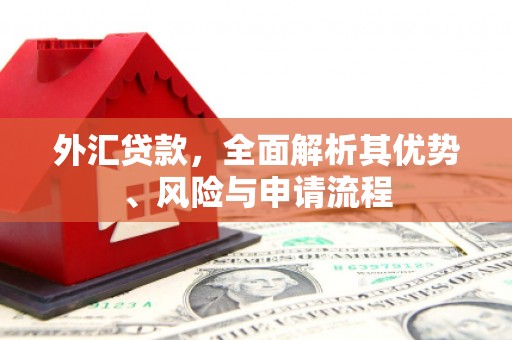 婺城外汇贷款，全面解析其优势、风险与申请流程