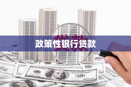 婺城政策性银行贷款