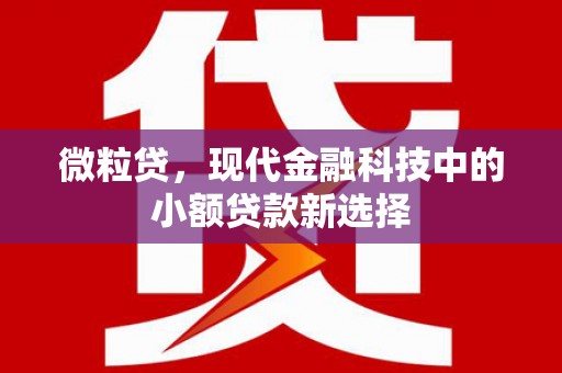 婺城微粒贷，现代金融科技中的小额贷款新选择