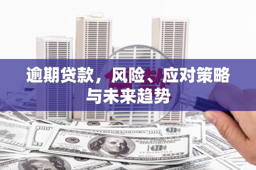 婺城逾期贷款，风险、应对策略与未来趋势