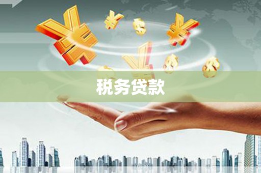 婺城税务贷款