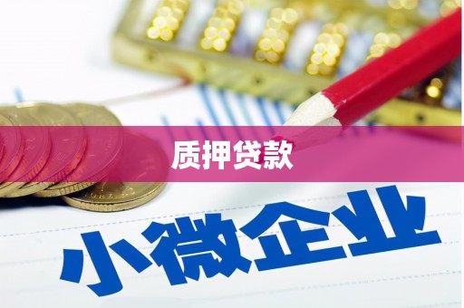 婺城质押贷款