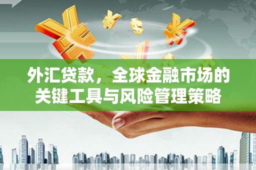 婺城外汇贷款，全球金融市场的关键工具与风险管理策略