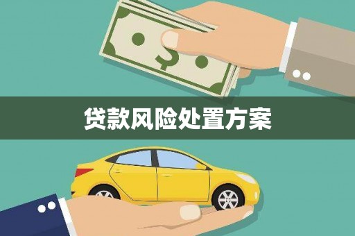 婺城贷款风险处置方案