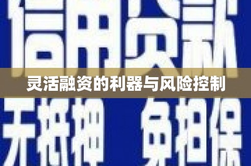 婺城灵活融资的利器与风险控制