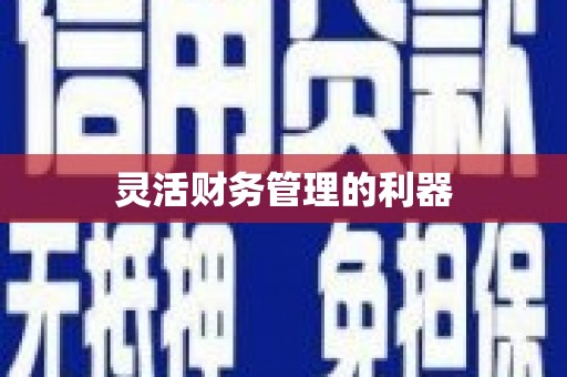 婺城灵活财务管理的利器