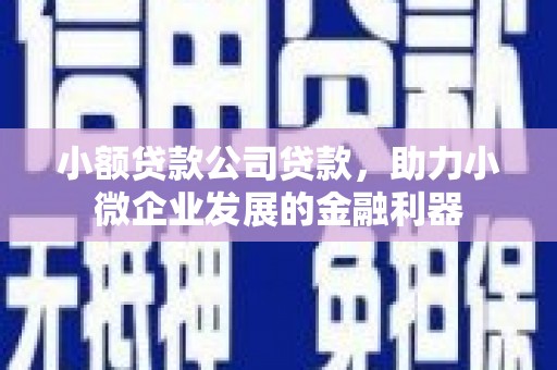 婺城小额贷款公司贷款，助力小微企业发展的金融利器