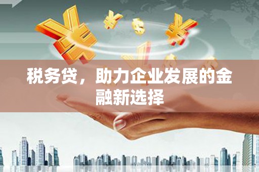 婺城税务贷，助力企业发展的金融新选择