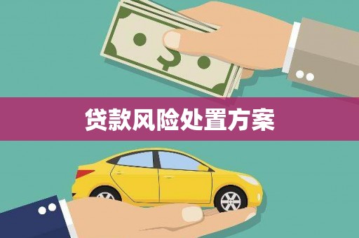 婺城贷款风险处置方案