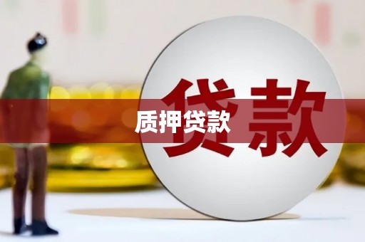 婺城质押贷款