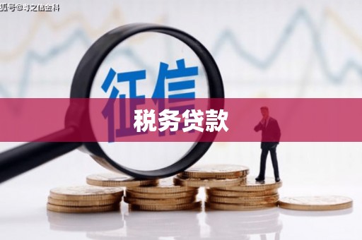 婺城税务贷款