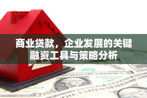 婺城商业贷款，企业发展的关键融资工具与策略分析