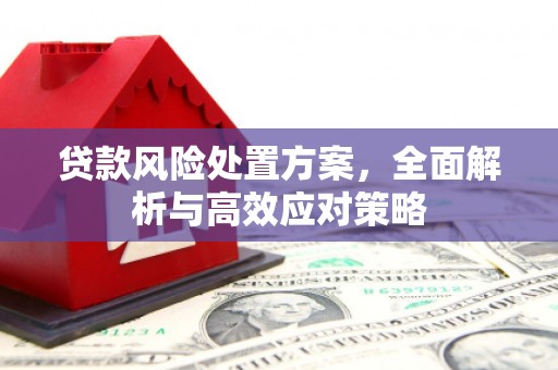 婺城贷款风险处置方案，全面解析与高效应对策略
