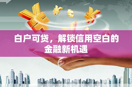 婺城白户可贷，解锁信用空白的金融新机遇