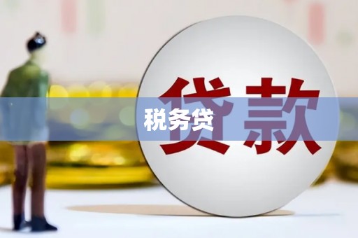 婺城税务贷