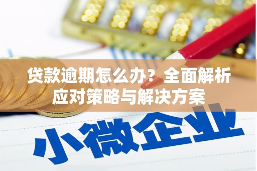婺城贷款逾期怎么办？全面解析应对策略与解决方案