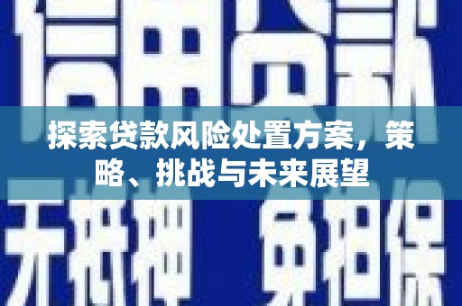 婺城探索贷款风险处置方案，策略、挑战与未来展望