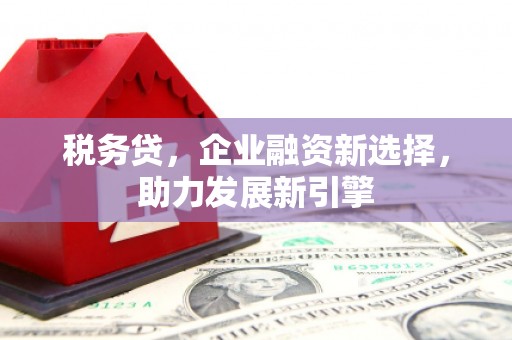 婺城税务贷，企业融资新选择，助力发展新引擎