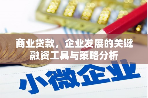 婺城商业贷款，企业发展的关键融资工具与策略分析