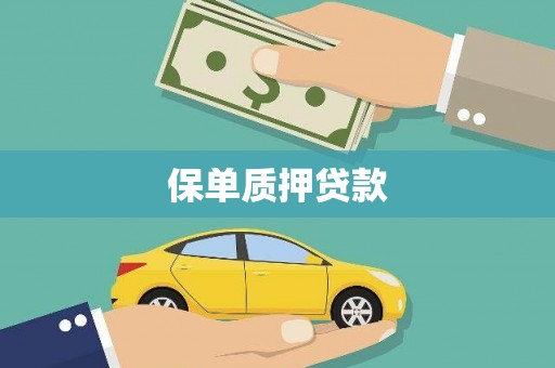 婺城保单质押贷款