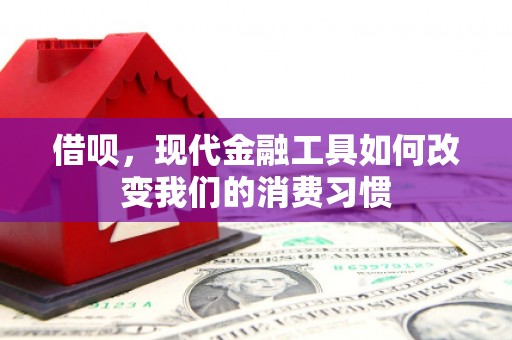 婺城借呗，现代金融工具如何改变我们的消费习惯