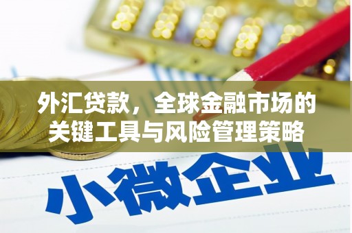 婺城外汇贷款，全球金融市场的关键工具与风险管理策略