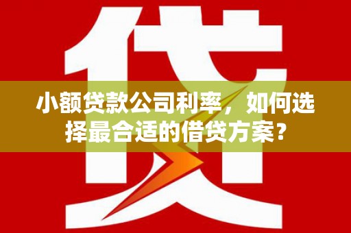婺城小额贷款公司利率，如何选择最合适的借贷方案？