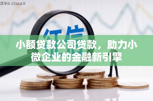 婺城小额贷款公司贷款，助力小微企业的金融新引擎