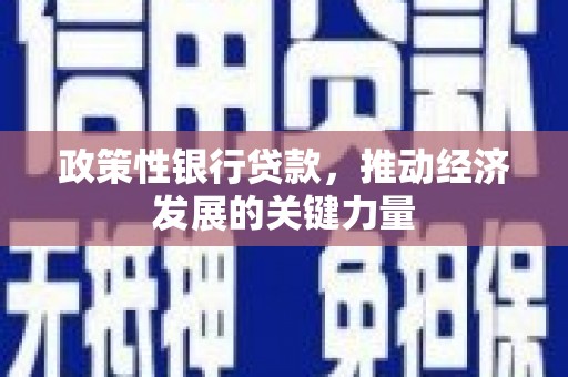 婺城政策性银行贷款，推动经济发展的关键力量