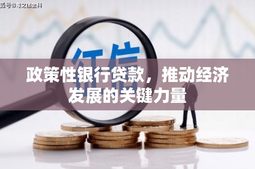 婺城政策性银行贷款，推动经济发展的关键力量