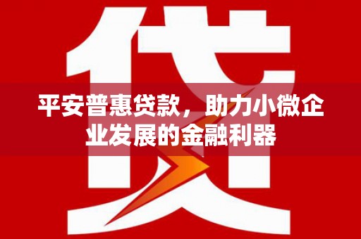 婺城平安普惠贷款，助力小微企业发展的金融利器