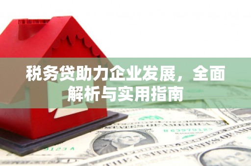 婺城税务贷助力企业发展，全面解析与实用指南