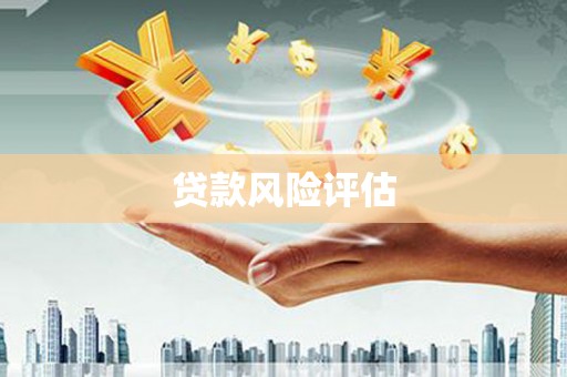 婺城贷款风险评估