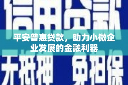 婺城平安普惠贷款，助力小微企业发展的金融利器