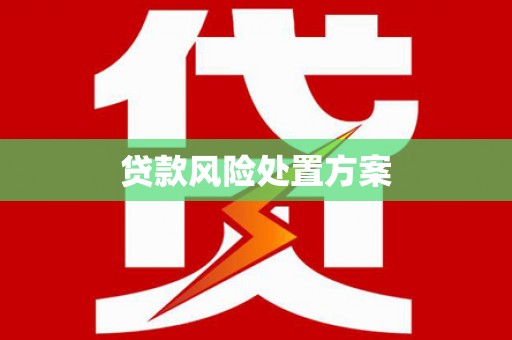婺城贷款风险处置方案