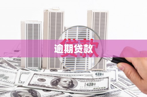 婺城逾期贷款