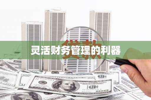 婺城灵活财务管理的利器