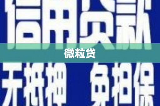 婺城微粒贷