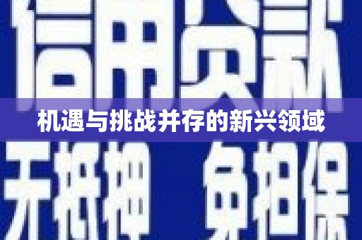 婺城机遇与挑战并存的新兴领域
